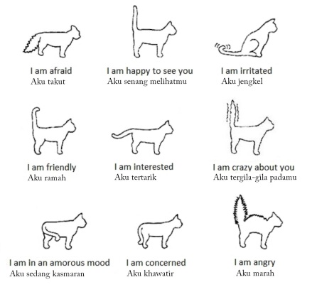 Gambar 1. Bahasa Tubuh Kucing (Sumber: “how-to-speak-cat” by marinamiries, mirucafe.org)